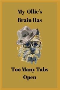 My Ollie's Brain Has Too Many Tabs Open