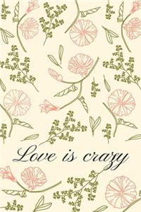 Love is crazy