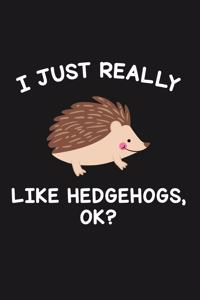 I Just Really Like Hedgehogs Ok: Blank Lined Notebook to Write In for Notes, To Do Lists, Notepad, Journal, Funny Gifts for Hedgehog Lover