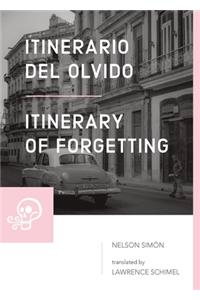 Itinerario del olvido / Itinerary of Forgetting