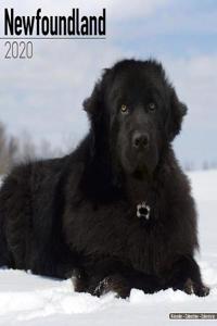 Newfoundland Calendar 2020