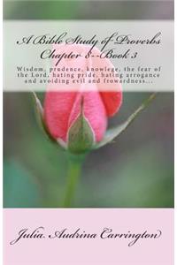 A Bible Study of Proverbs Chapter 8--Book 3