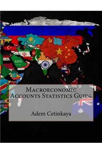 Macroeconomic Accounts Statistics Guide