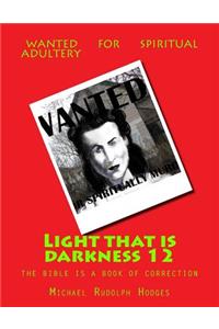 Light that is darkness 12