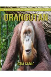 Orangutan