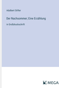 Der Nachsommer; Eine Erzählung