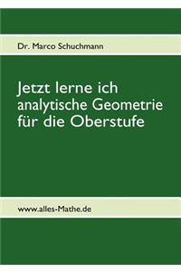 Jetzt lerne ich analytische Geometrie für die Oberstufe
