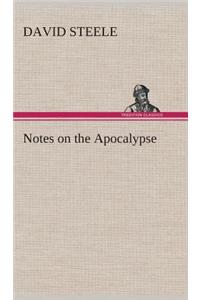 Notes on the Apocalypse