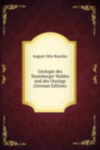 Geologie des Teutoburger Waldes und des Osnings (German Edition)
