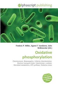 Oxidative Phosphorylation