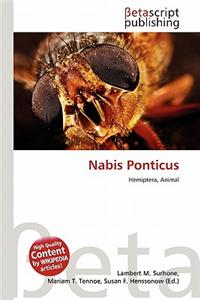 Nabis Ponticus