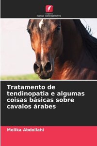 Tratamento de tendinopatia e algumas coisas básicas sobre cavalos árabes