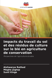 Impacts du travail du sol et des résidus de culture sur le blé en agriculture de conservation