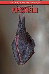 Pipistrelli