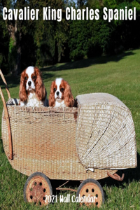 Cavalier King Charles Spaniel 2021 Wall Calendar