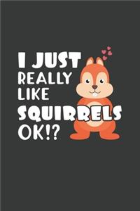 I Just Really Like Squirrels OK?