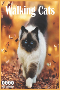 Walking Cats 2021 Wall Calendar