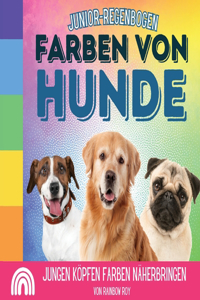 Junior-Regenbogen, Farben Von Hunde: Jungen Köpfen Farben näherbringen