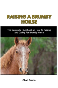Raising a Brumby Horse