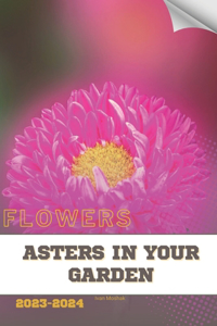 Asters in Your Garden