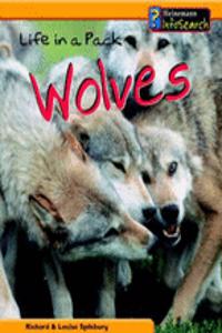 Animal Groups: Life in a Pack of Wolves Paperback