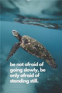 be not afraid of going slowly, be only afraid of standing still.