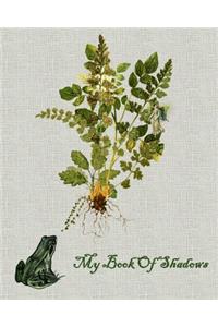 My Book Of Shadows