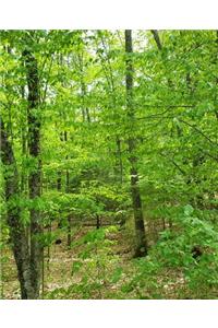 School Composition Book Springtime Woods