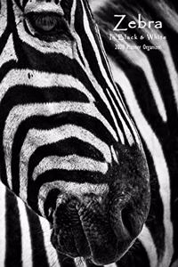 Zebra in Black & White 2020 Planner
