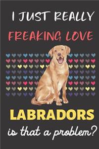 I Just Really Freaking Love Labradors. Is That A Problem?