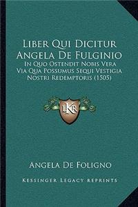 Liber Qui Dicitur Angela De Fulginio