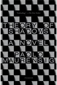Theory of Shadows