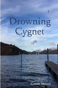 Drowning Cygnet