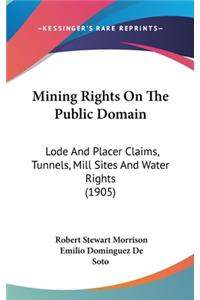 Mining Rights On The Public Domain