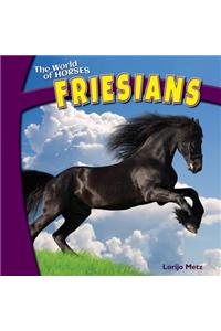 Friesians