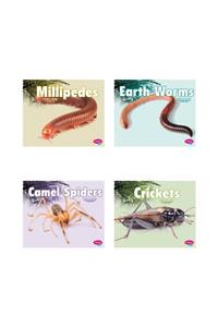 Creepy Crawlers