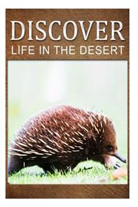 Life in the Desert - Discover