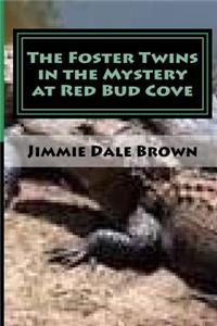 Foster Twins in the Mystery at Redbud Cove