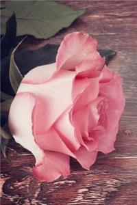 Mind Blowing Rose On The Table Journal