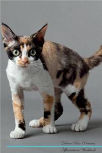 Devon Rex Affirmations Workbook Devon Rex Presents