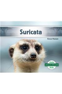 Suricata (Meerkat)