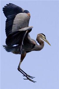 Great Blue Heron in Flight Bird Journal