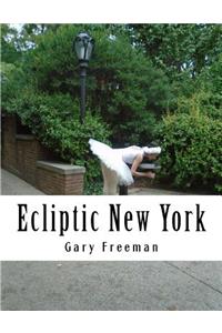 Ecliptic New York