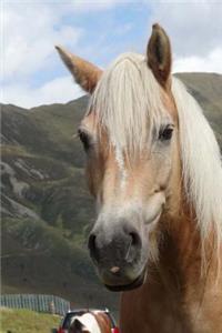 Pretty Mountain Pony Journal