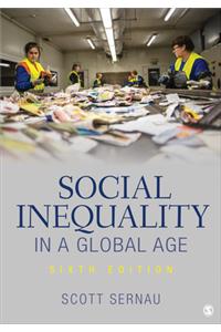 Social Inequality in a Global Age