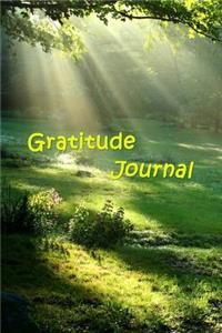 Gratitude Journal Pretty Forest Background
