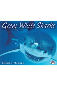 Great White Sharks