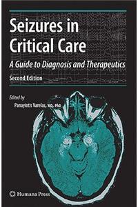 Seizures in Critical Care: A Guide to Diagnosis and Therapeutics