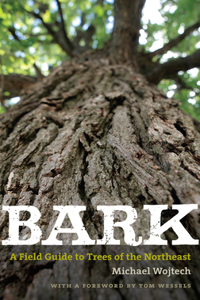 Bark