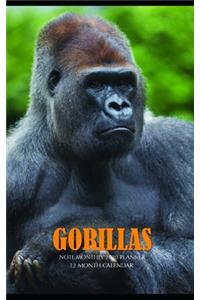 Gorillas Note Monthly 2020 Planner 12 Month Calendar